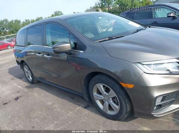 5FNRL6H70KB092492 2019 HONDA ODYSSEY Gray Панорамний вид салону 360°