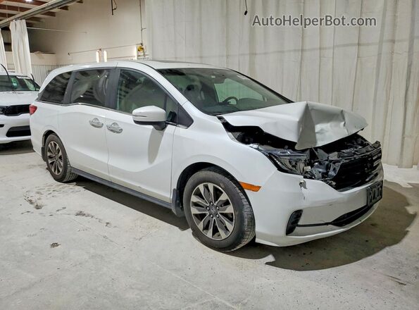 5FNRL6H70MB024194 2021 HONDA ODYSSEY White წინა მარჯვენა