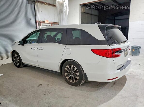 5FNRL6H70MB024194 2021 HONDA ODYSSEY White უკანა მარცხენა