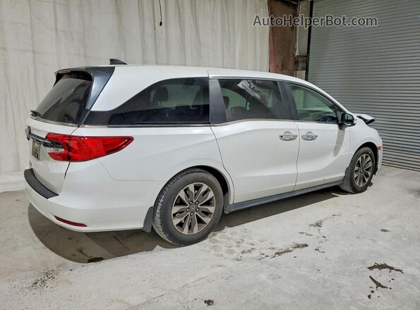 5FNRL6H70MB024194 2021 HONDA ODYSSEY White უკანა მარჯვენა