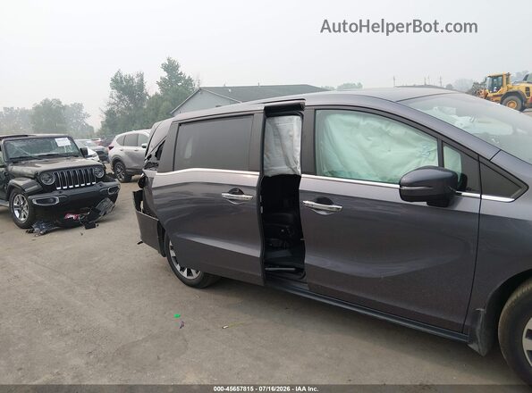 5FNRL6H70MB040461 2021 HONDA ODYSSEY Gray Սալոնի հետևի տեսք