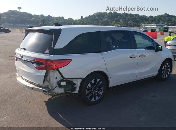 5FNRL6H71MB023636 2021 HONDA ODYSSEY White Tył prawy