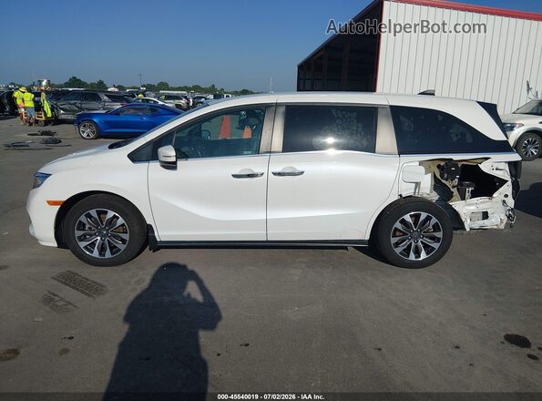 5FNRL6H71MB023636 2021 HONDA ODYSSEY White 