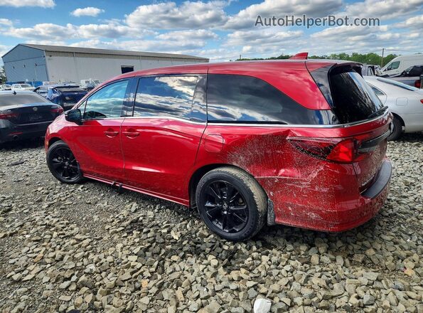 5FNRL6H71PB071528 2023 HONDA ODYSSEY Burgundy Հետևի ձախ