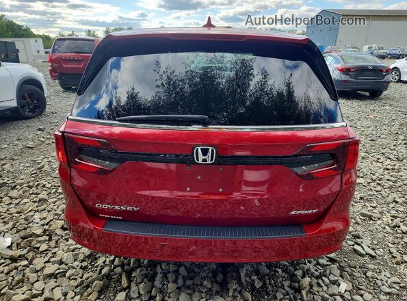 5FNRL6H71PB071528 2023 HONDA ODYSSEY Burgundy Հետևի տեսք
