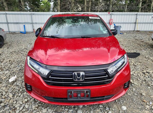 5FNRL6H71PB071528 2023 HONDA ODYSSEY Burgundy Դիմացի տեսք