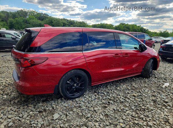 5FNRL6H71PB071528 2023 HONDA ODYSSEY Burgundy Հետևի աջ