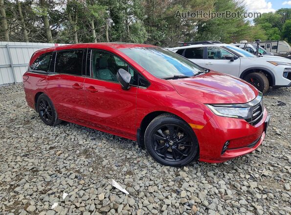 5FNRL6H71PB071528 2023 HONDA ODYSSEY Burgundy Առջևի աջ