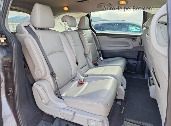 5FNRL6H72KB013324 2019 HONDA ODYSSEY Gray Widok tylnych siedzeń