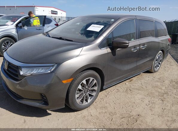 5FNRL6H73MB001895 2021 HONDA ODYSSEY Gray Առջևի ձախ երեք քառորդ տեսարան