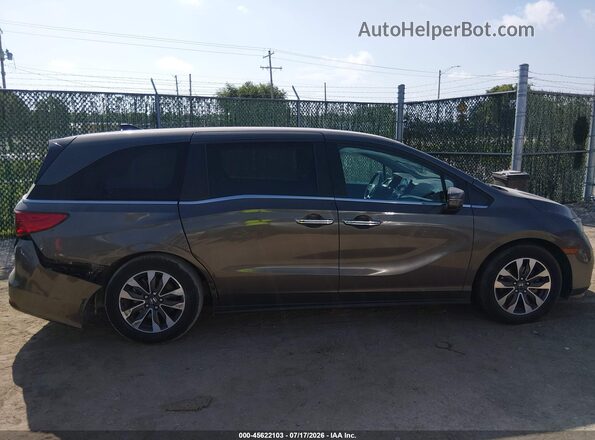 5FNRL6H73MB001895 2021 HONDA ODYSSEY Gray Սալոնի հետևի տեսք