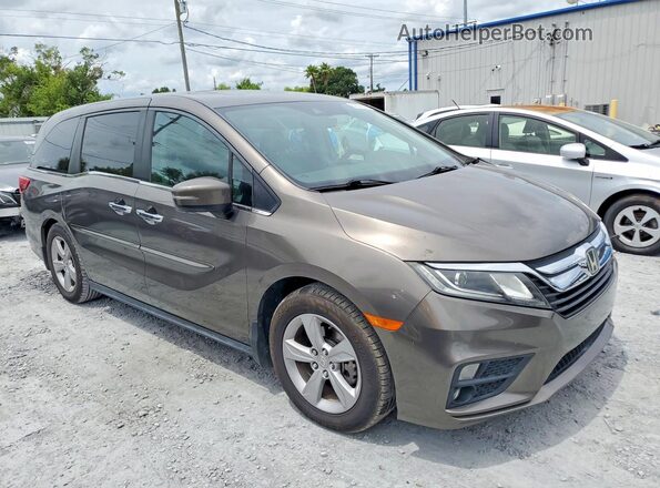 5FNRL6H74KB026155 2019 HONDA ODYSSEY Brown Front right