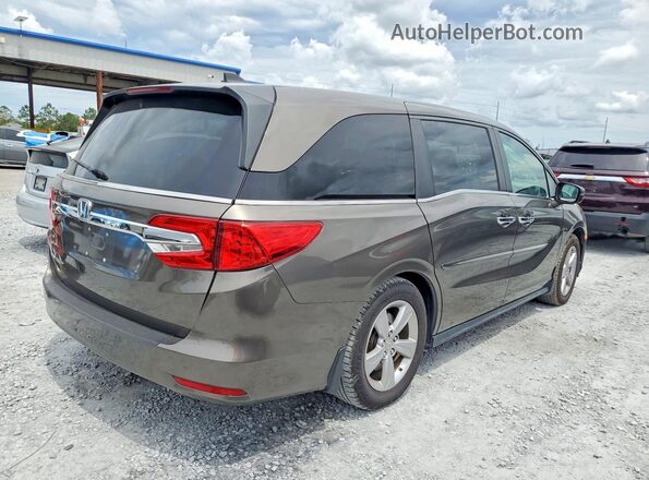 5FNRL6H74KB026155 2019 HONDA ODYSSEY Brown Rear right