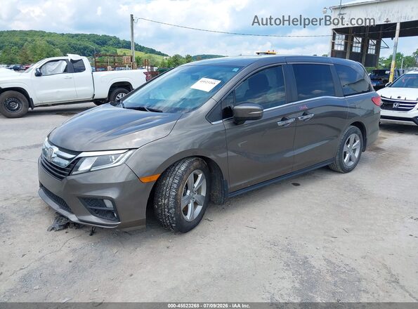 5FNRL6H74LB059464 2020 HONDA ODYSSEY Коричневый Передняя левая четверть