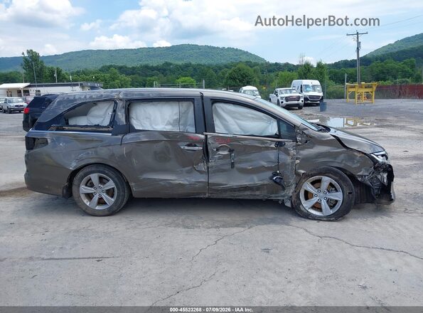 5FNRL6H74LB059464 2020 HONDA ODYSSEY Коричневый Панорамный вид салона 360°