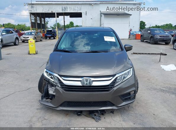 5FNRL6H74LB059464 2020 HONDA ODYSSEY Коричневый Вид задней части салона