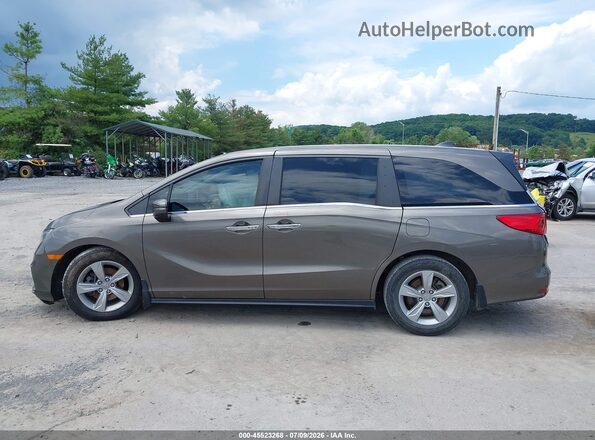 5FNRL6H74LB059464 2020 HONDA ODYSSEY Коричневый 