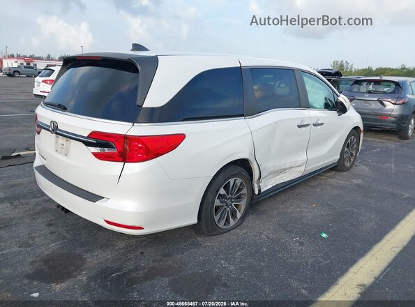 5FNRL6H74MB015773 2021 HONDA ODYSSEY White უკანა მარჯვენა