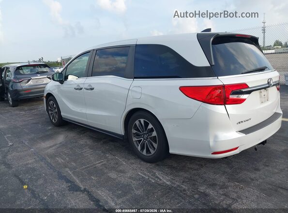 5FNRL6H74MB015773 2021 HONDA ODYSSEY White უკანა მარცხენა