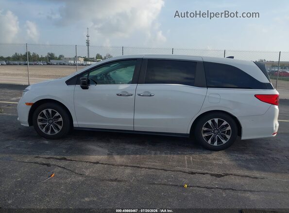 5FNRL6H74MB015773 2021 HONDA ODYSSEY White სალონის 360-გრადუსიანი ხედი