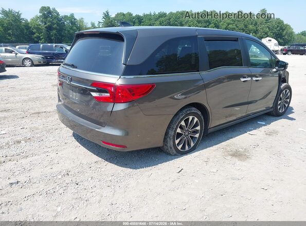 5FNRL6H74NB061489 2022 HONDA ODYSSEY Gray Հետևի աջ