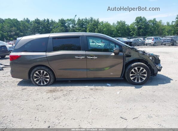 5FNRL6H74NB061489 2022 HONDA ODYSSEY Gray Սալոնի հետևի տեսք