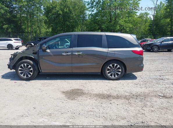 5FNRL6H74NB061489 2022 HONDA ODYSSEY Gray Սալոնի 360 աստիճան տեսք