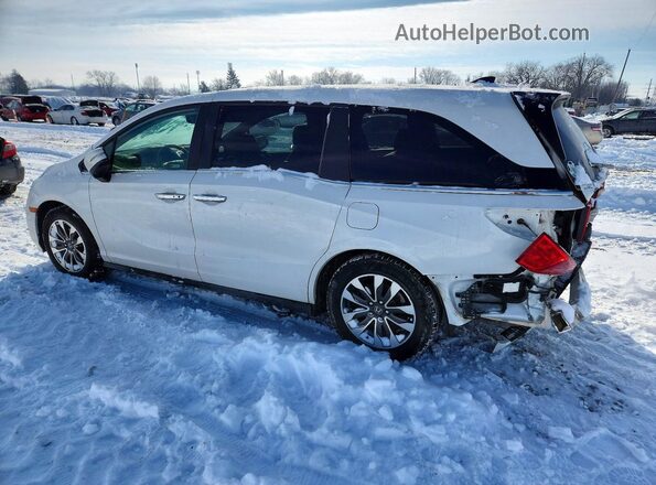 5FNRL6H75MB023509 2021 HONDA ODYSSEY White Հետևի ձախ