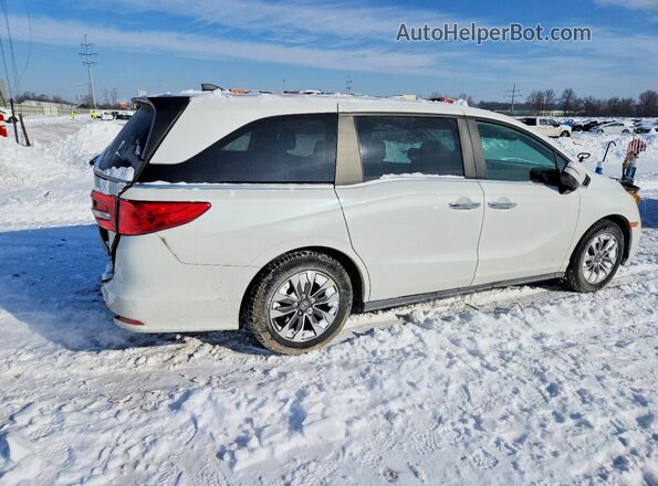 5FNRL6H75MB023509 2021 HONDA ODYSSEY White Հետևի աջ