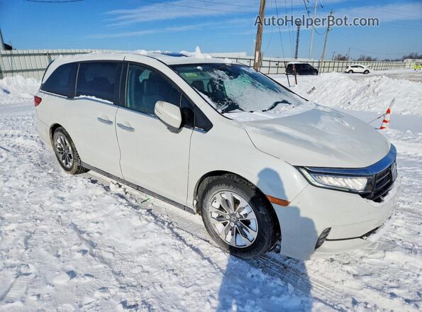 5FNRL6H75MB023509 2021 HONDA ODYSSEY White Առջևի աջ