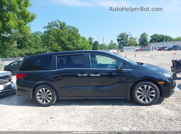 5FNRL6H75MB027303 2021 HONDA ODYSSEY Black Սալոնի հետևի տեսք