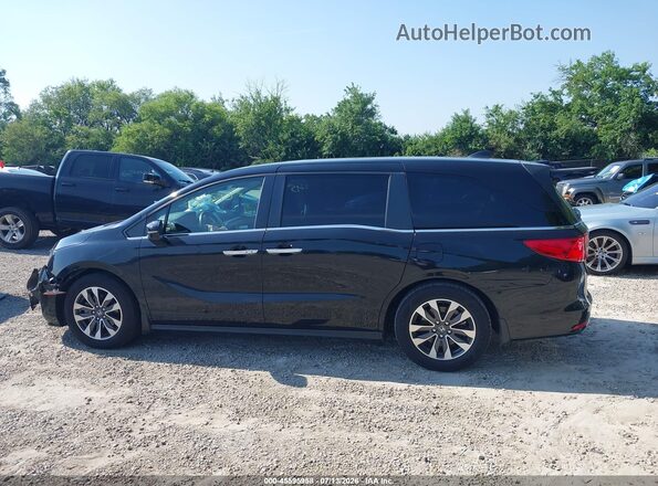 5FNRL6H75MB027303 2021 HONDA ODYSSEY Black Սալոնի 360 աստիճան տեսք