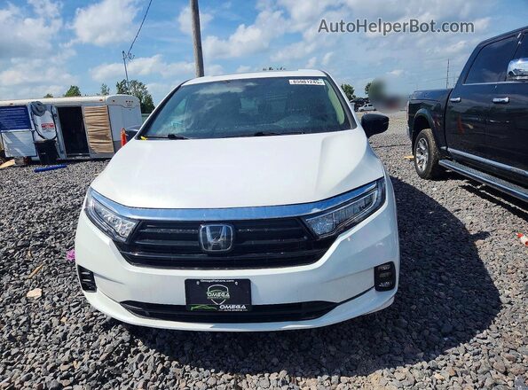 5FNRL6H75MB043517 2021 HONDA ODYSSEY Белый Вид спереди