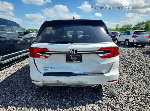 5FNRL6H75MB043517 2021 HONDA ODYSSEY Белый Вид сзади