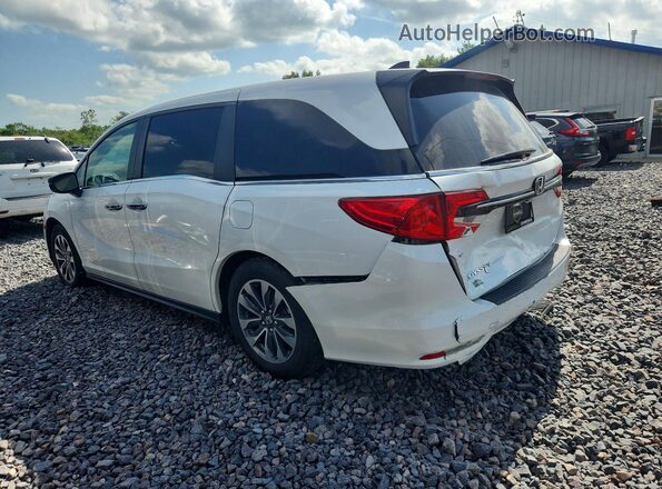 5FNRL6H75MB043517 2021 HONDA ODYSSEY Белый Задняя левая четверть