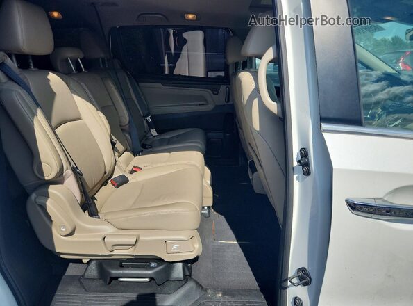 5FNRL6H75MB043517 2021 HONDA ODYSSEY Белый Вид задней части салона