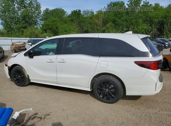 5FNRL6H75TB501538 2026 HONDA ODYSSEY White უკანა მარცხენა