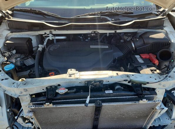 5FNRL6H76KB078550 2019 HONDA ODYSSEY White Շարժիչի բաժամունքի տեսք