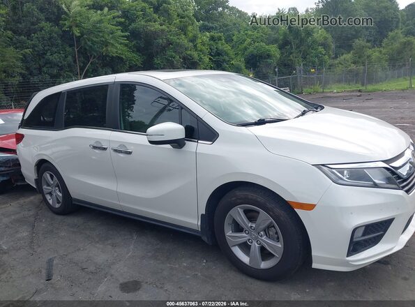 5FNRL6H76KB095414 2019 HONDA ODYSSEY Белый Вид задней части салона