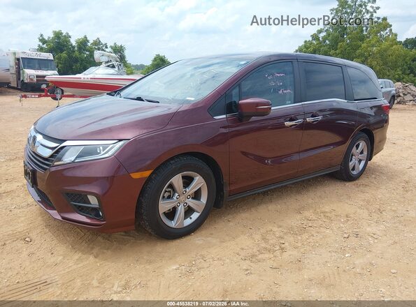 5FNRL6H76LB017247 2020 HONDA ODYSSEY Maroon Передня ліва чверть