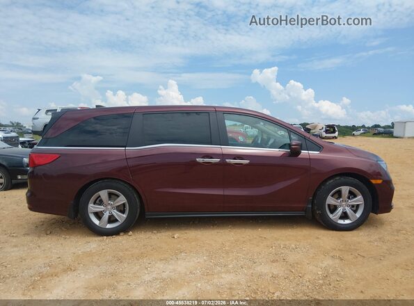 5FNRL6H76LB017247 2020 HONDA ODYSSEY Maroon Вид задньої частини салону
