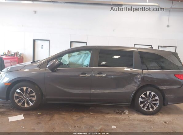 5FNRL6H76NB022502 2022 HONDA ODYSSEY Серый Панорамный вид салона 360°
