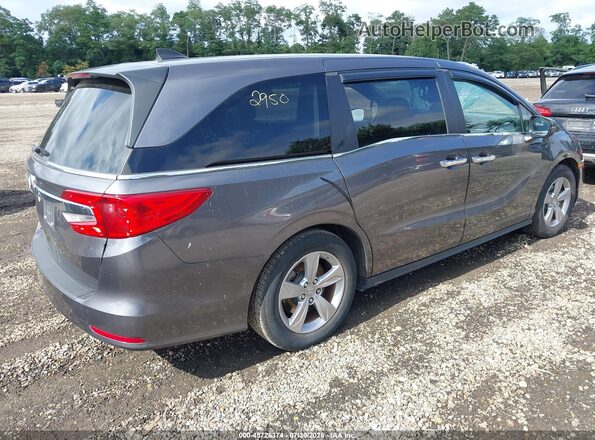 5FNRL6H77KB005865 2019 HONDA ODYSSEY Серый Задняя правая четверть