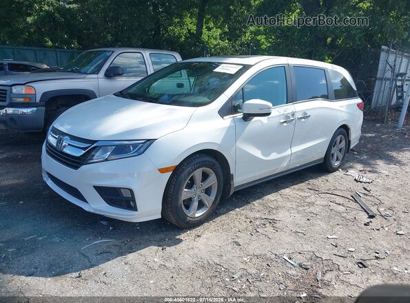 5FNRL6H77LB048264 2020 HONDA ODYSSEY Белый Передняя левая четверть