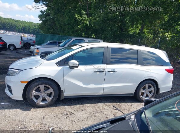 5FNRL6H77LB048264 2020 HONDA ODYSSEY Белый Вид задней части салона