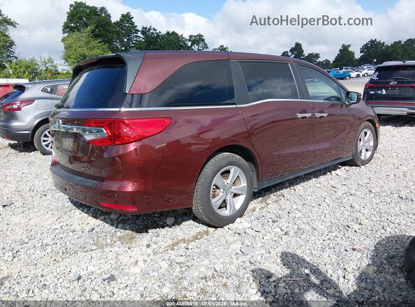 5FNRL6H77LB074203 2020 HONDA ODYSSEY Maroon Rear right