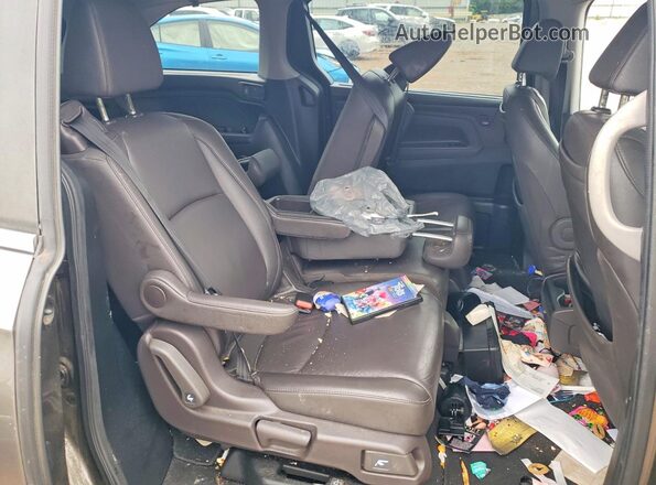 5FNRL6H78LB025432 2020 HONDA ODYSSEY Серый Вид задней части салона