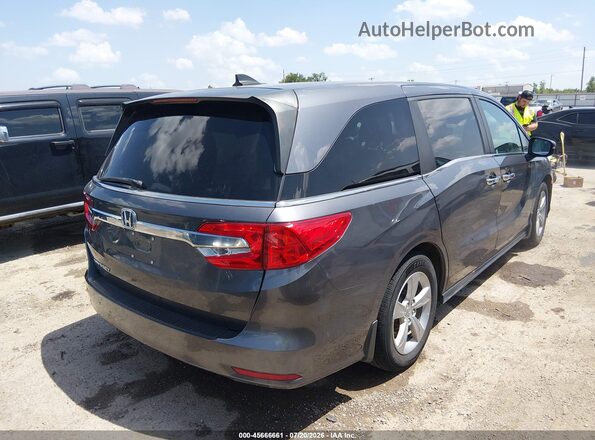 5FNRL6H79JB082039 2018 HONDA ODYSSEY Gray Tył prawy