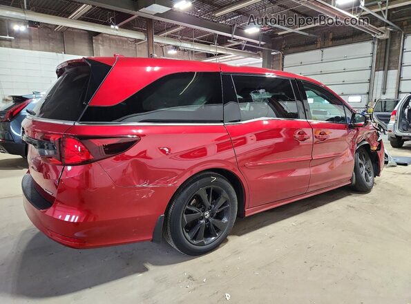 5FNRL6H79RB008356 2024 HONDA ODYSSEY Red Trasero derecho