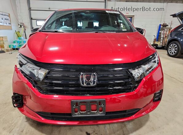 5FNRL6H79RB008356 2024 HONDA ODYSSEY Red Vista frontal